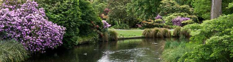 Tinwald, Ashburton