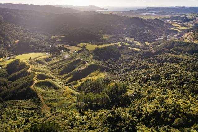 Escape to Your Own Wilderness – 1870 The 309 Road, Whitianga
