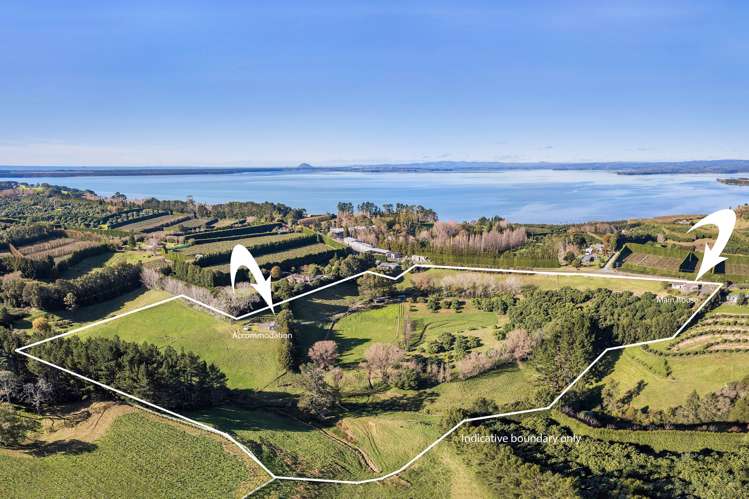 303 Kauri Point Road Kauri Point_1